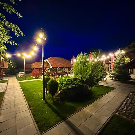 Vila Hora Cu Brazi Zărneşti Dış mekan fotoğraf