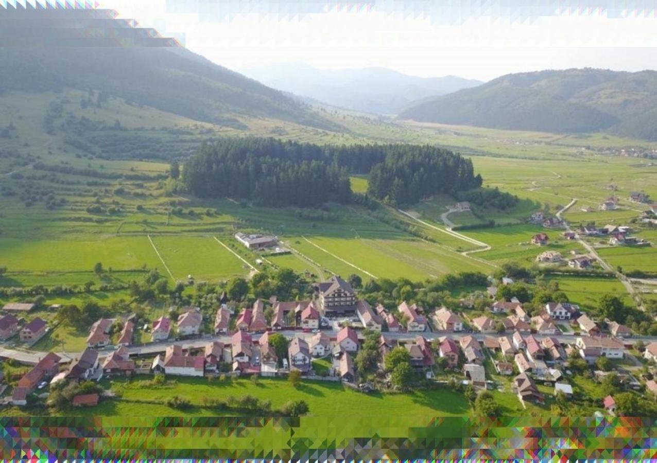 Vila Hora Cu Brazi Zărneşti Dış mekan fotoğraf