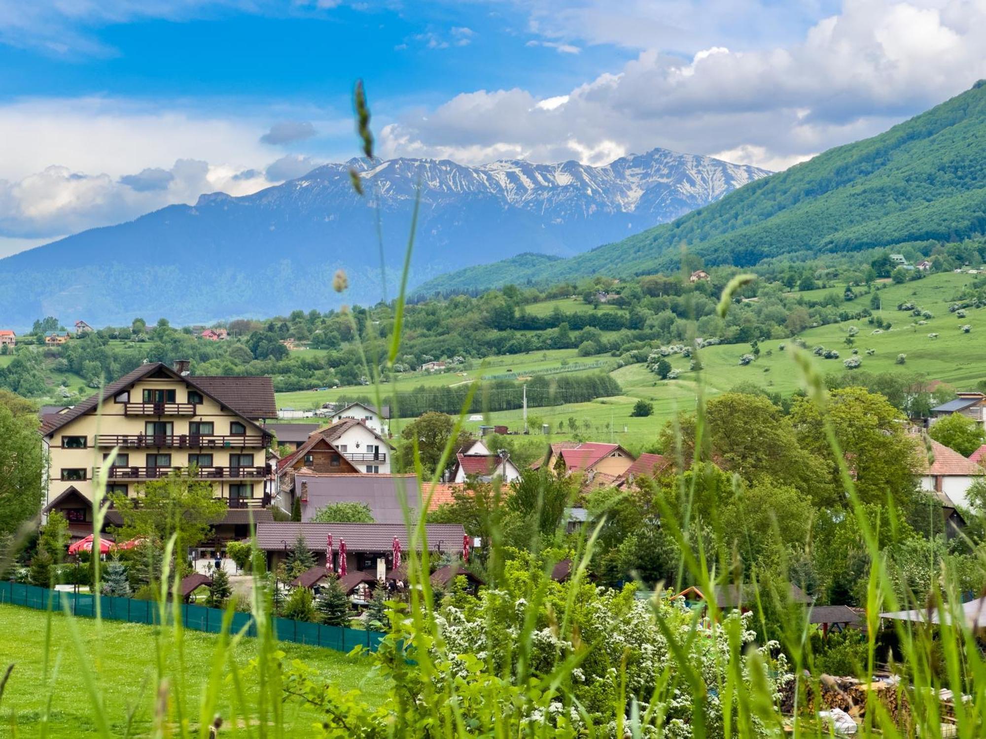 Vila Hora Cu Brazi Zărneşti Dış mekan fotoğraf