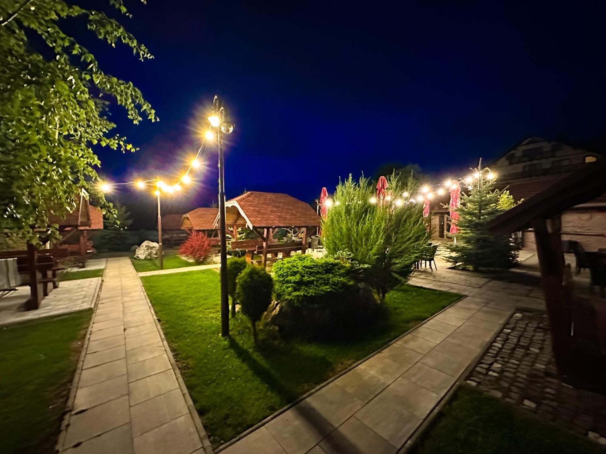 Vila Hora Cu Brazi Zărneşti Dış mekan fotoğraf
