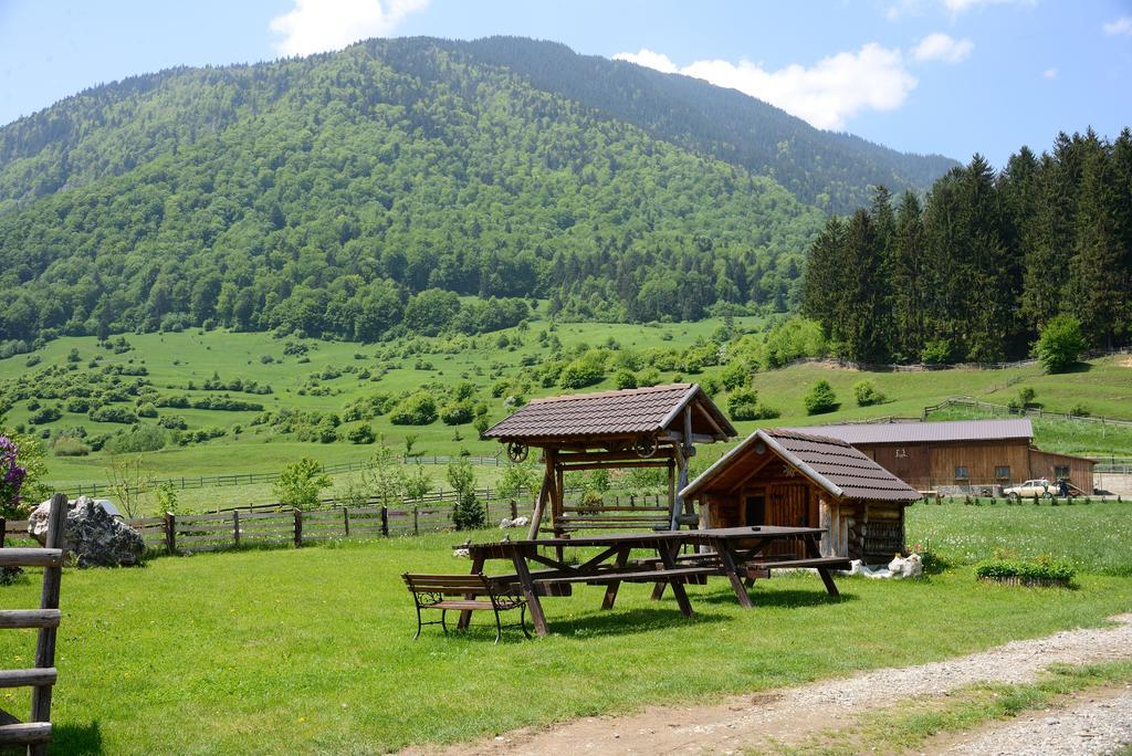 Vila Hora Cu Brazi Zărneşti Dış mekan fotoğraf