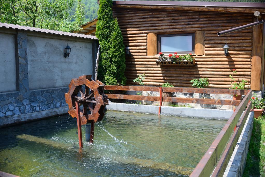 Vila Hora Cu Brazi Zărneşti Dış mekan fotoğraf